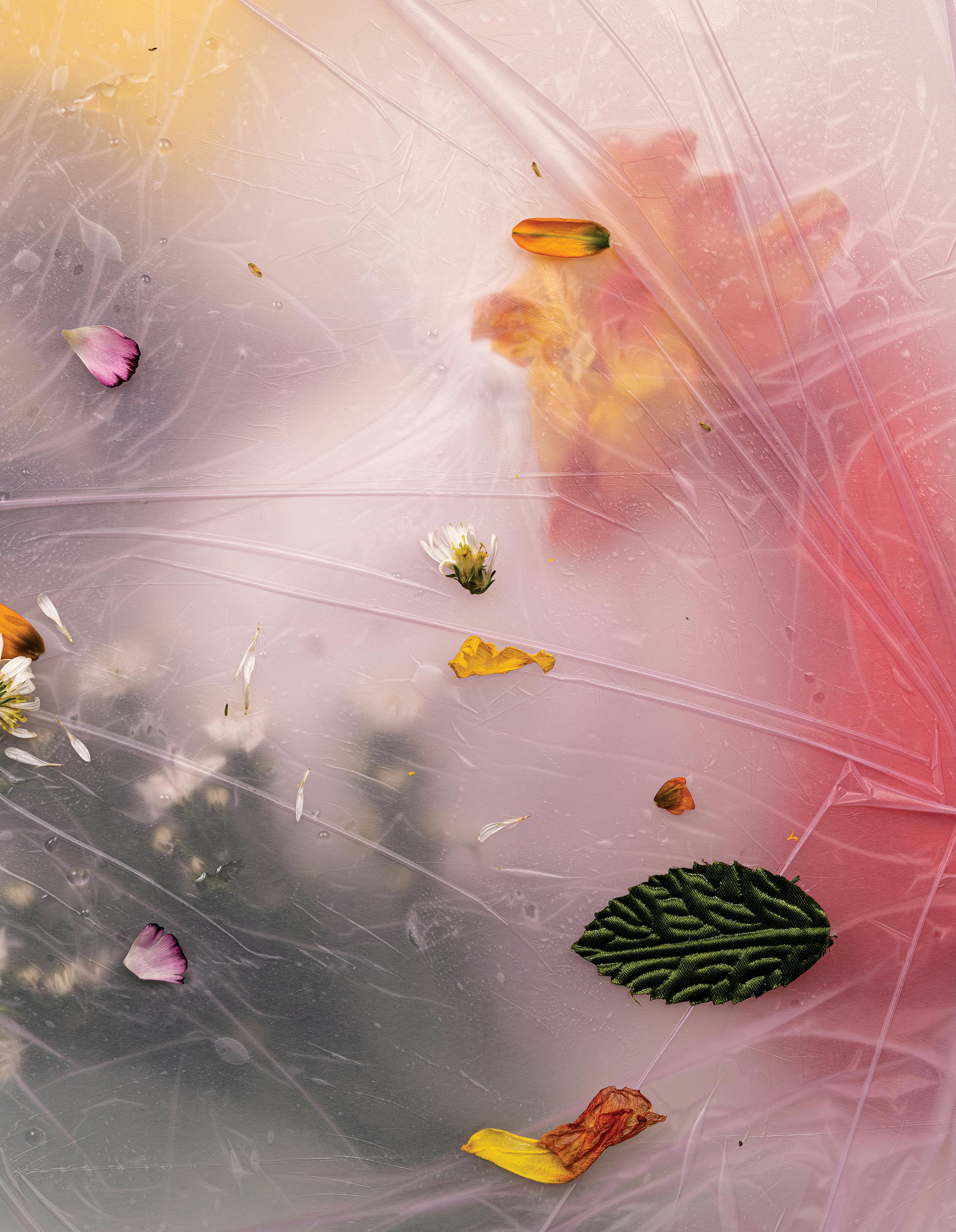 A photographic work by Michelle Bui. Diffuse colours and indecipherable plant matter appear beneath a layer of wrinkled plastic film. Sparse flowers and leaves are sprinkled across the picture plane.