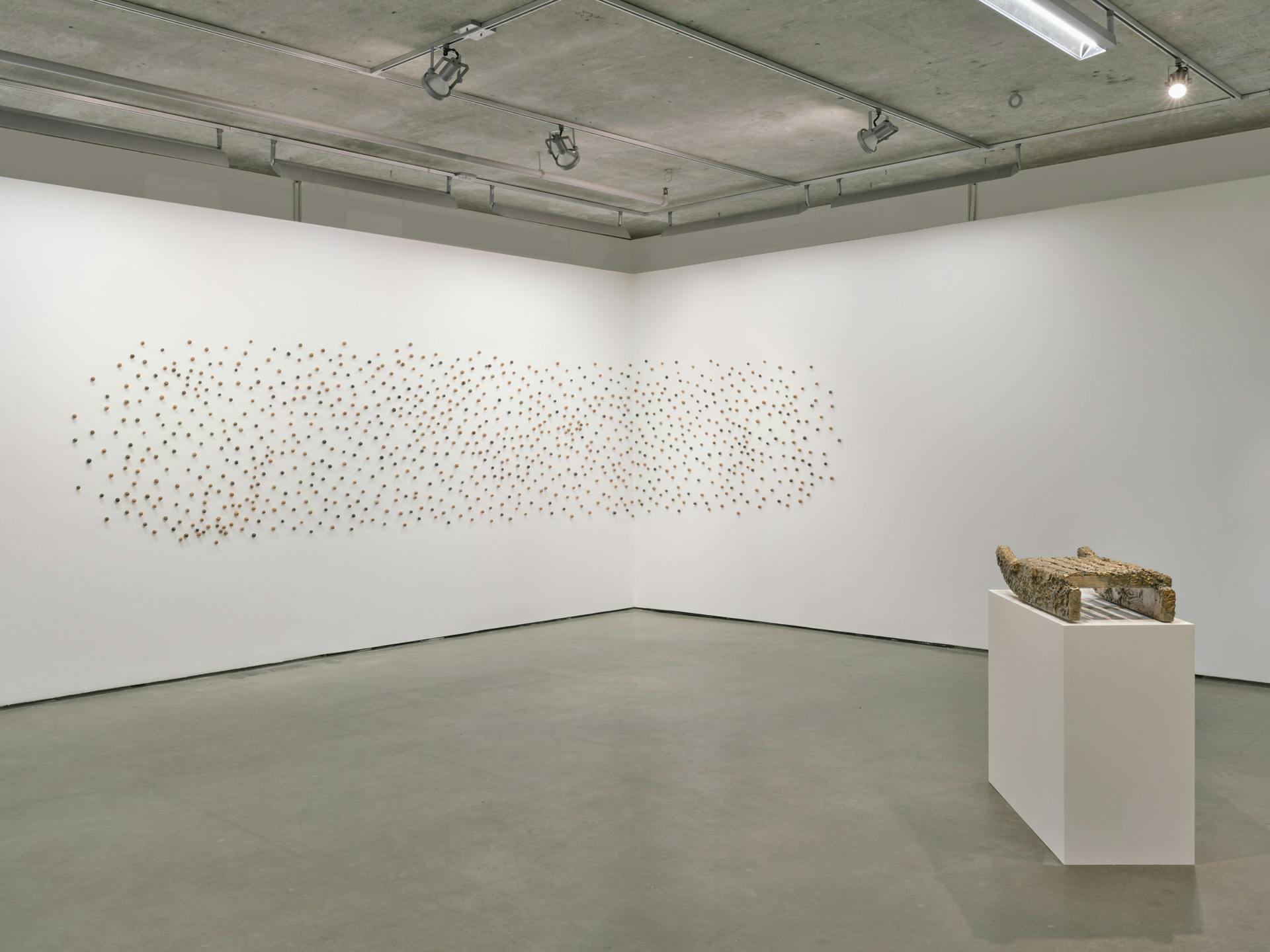A thousand small clay beads are pinned across two walls in an amorphous shape, with most of the beads displayed on the left wall. In the foreground is a sculpture of a child's sled on a plinth.