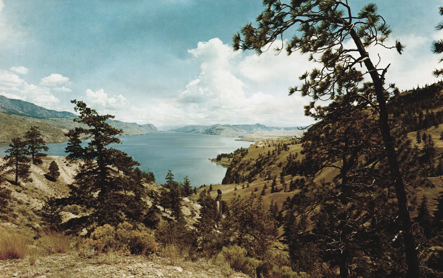 An image of a hilly, rocky landscape dotted with evergreen trees surrounding a blue lake. 